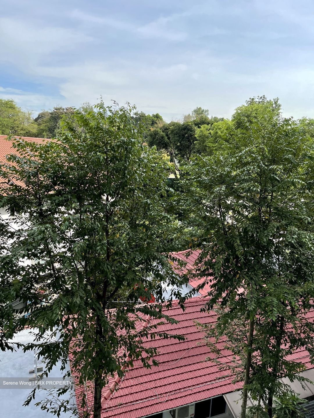 One Tree Hill Residence (D10), Apartment #357289131